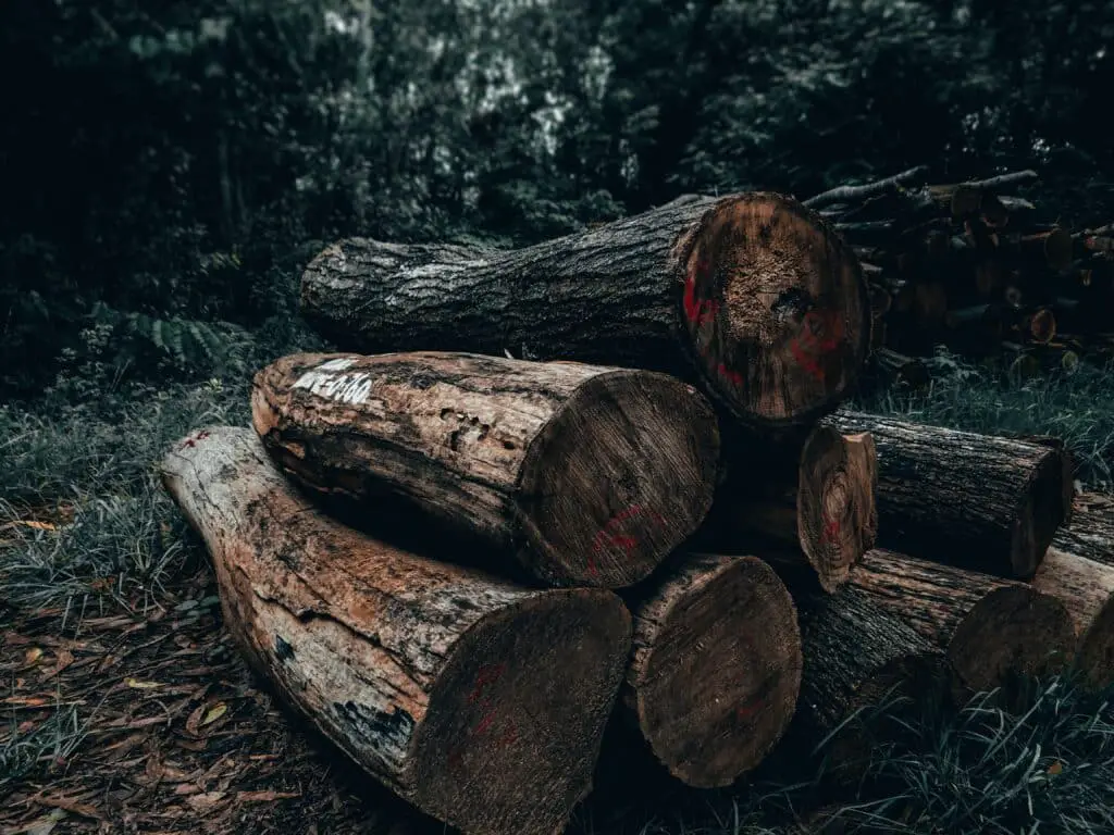 une pile de bois faite par des affouagistes