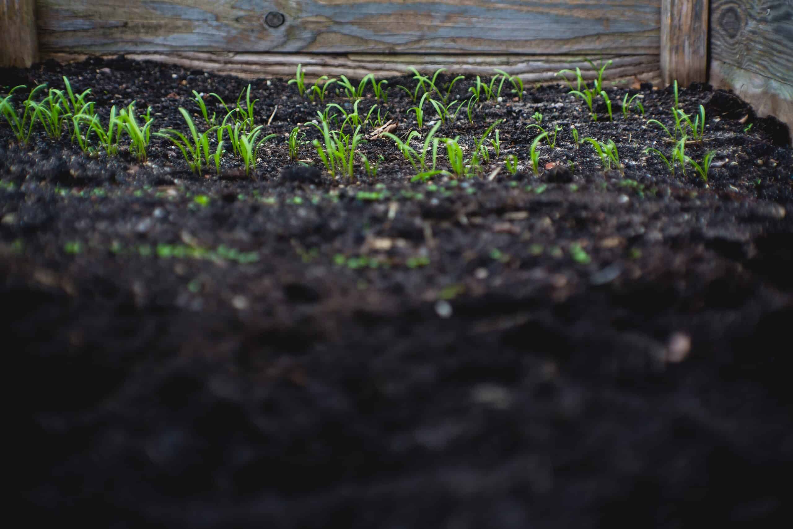 La permaculture pour les nuls