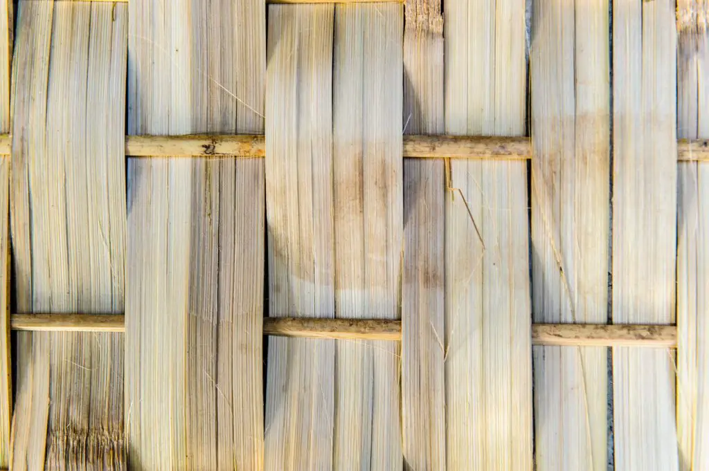 Une haie brise-vue en bambou