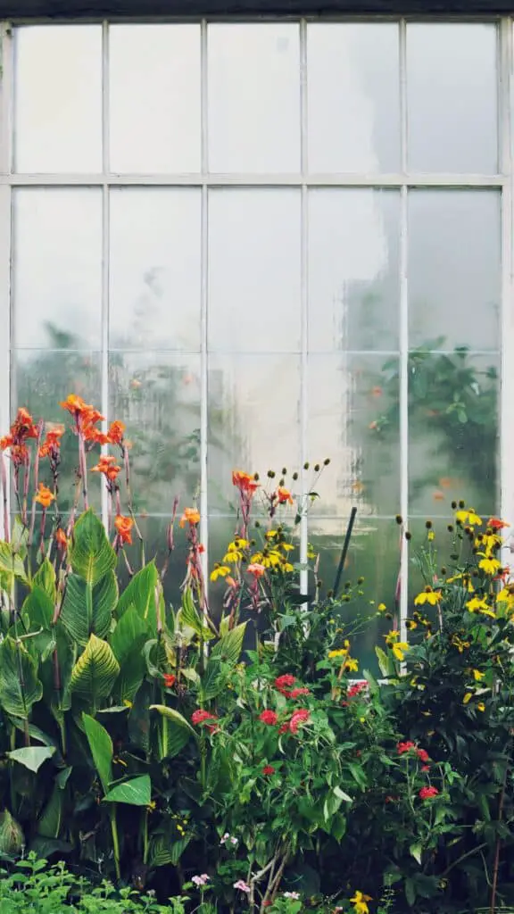 un solarium rempli de fleurs en hiver