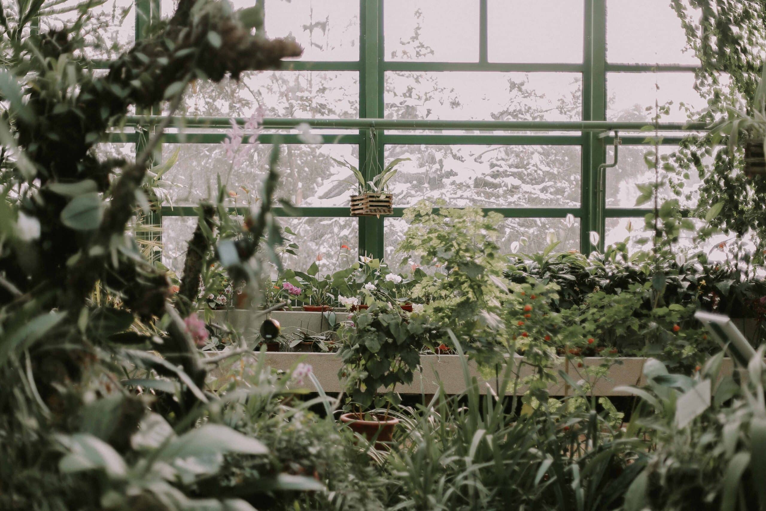 un jardin d'hiver véranda avec de la neige en arrière plan