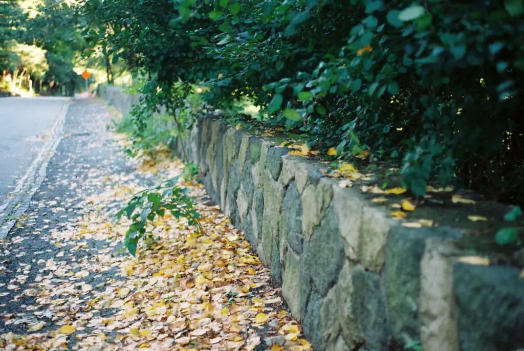 un muret de jardin en pierres alignées