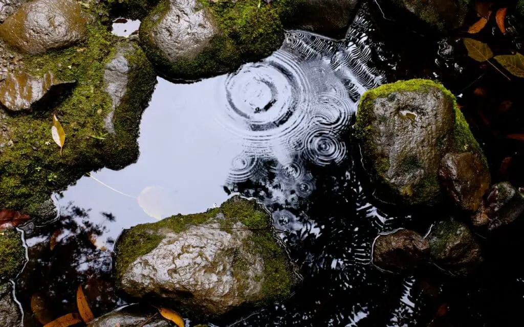 De la pluie n'allant pas dans un récupérateur d'eau de pluie