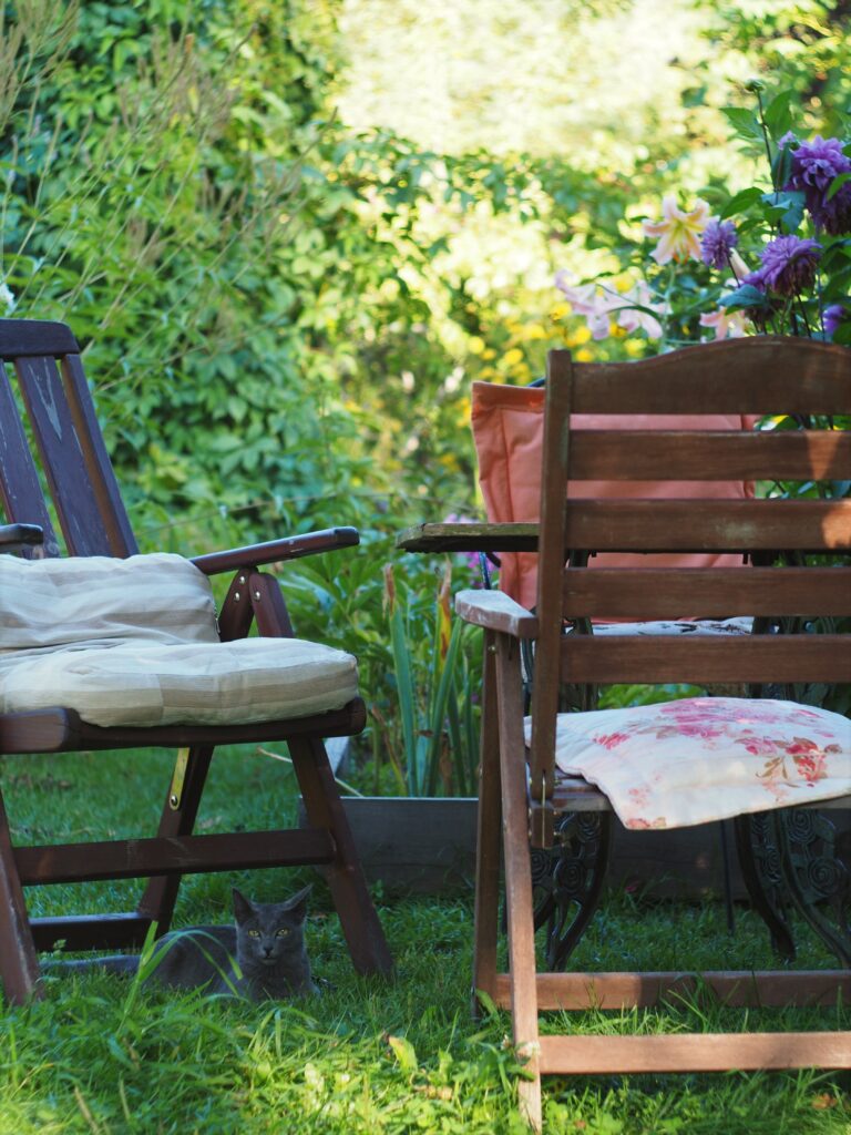ses chaises de jardin en bois