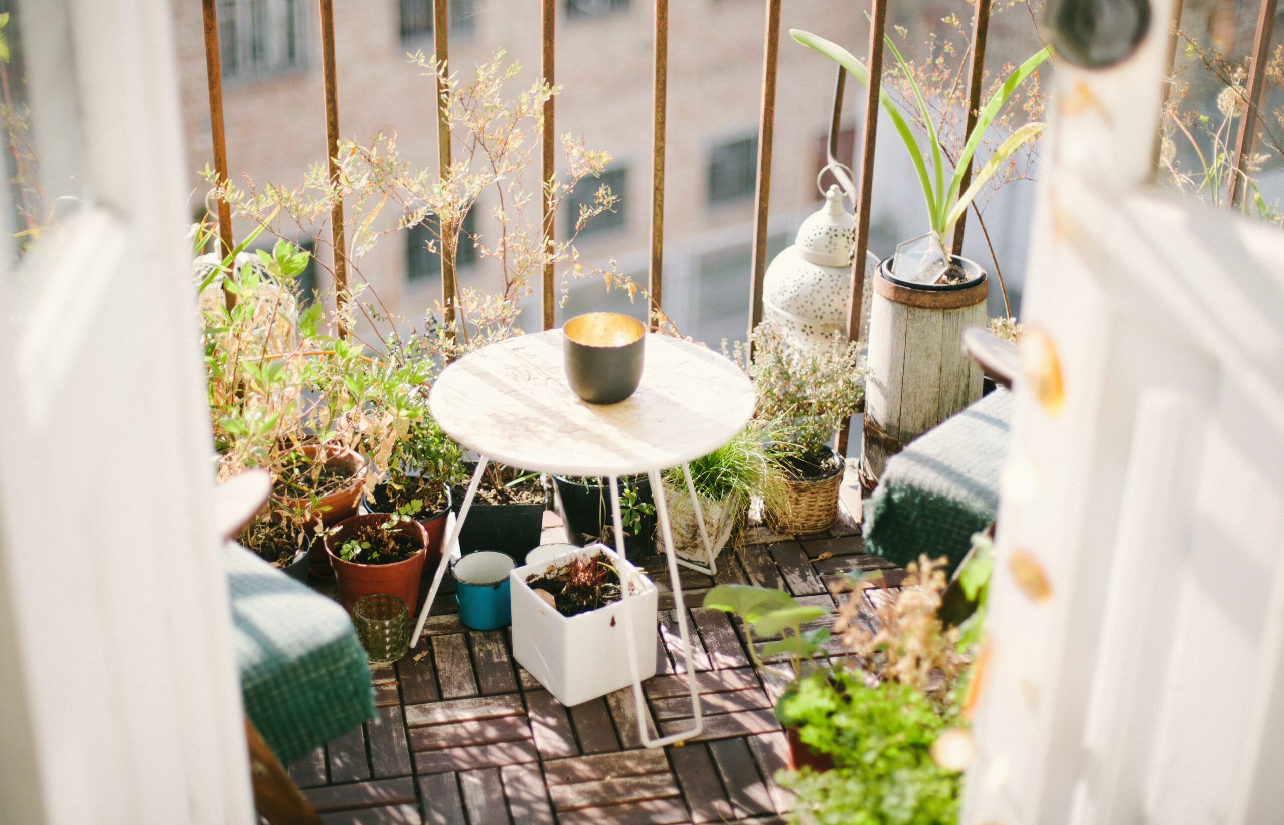 Comment faire pousser des légumes sur son balcon ?