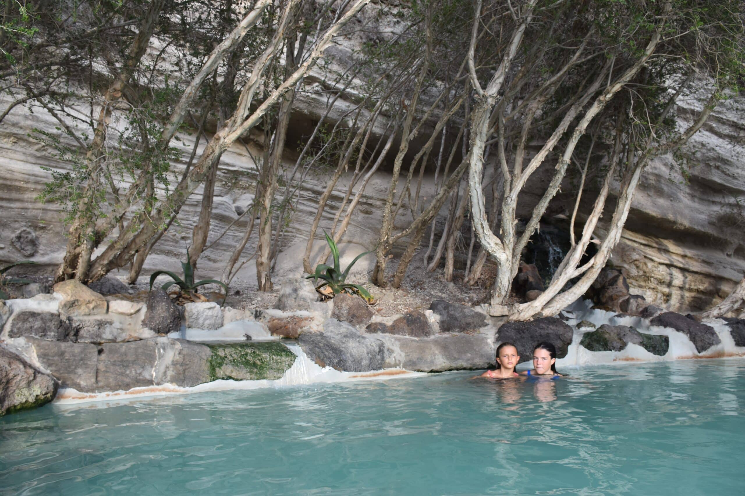 Créez un Paradis Tropical chez Vous avec une Piscine Lagon : Guide Complet