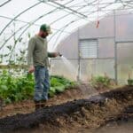 Serre de jardin tunnel : Transformez votre jardin en oasis verte