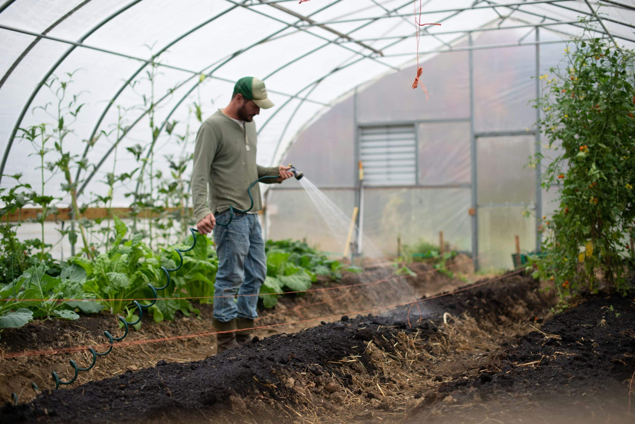 Serre de jardin tunnel : Transformez votre jardin en oasis verte