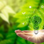 Transition énergétique : le rôle clé de l'énergie verte dans l'avenir